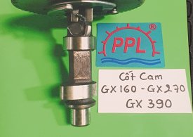 Cốt Cam Các Loại